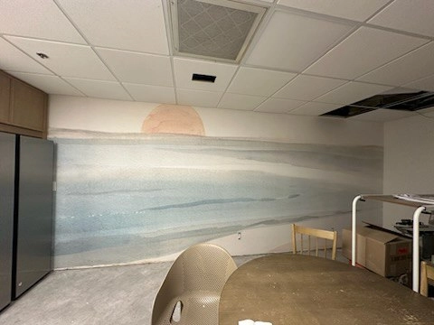 Wallpaper installation project in Escondido, CA